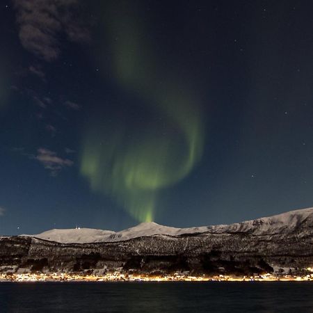 Apartmán Veien Til Senja Finnsnes Exteriér fotografie